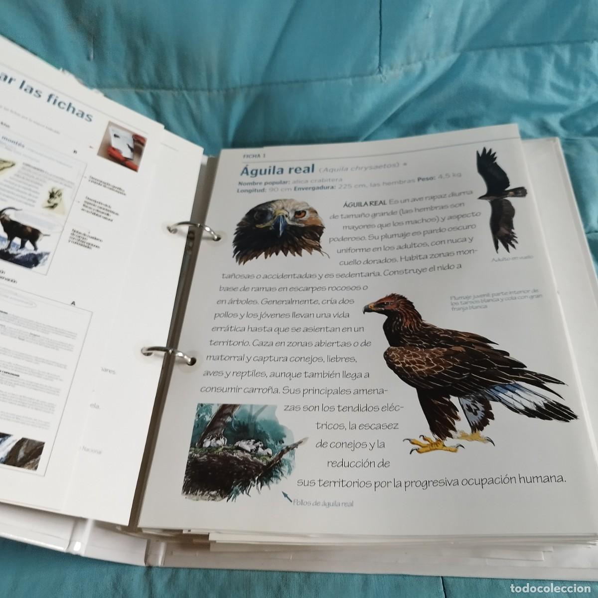 Libros de segunda mano: FAUNA DE ARAGON / 82 rutas turisticas / CONS 614GV - Foto 4