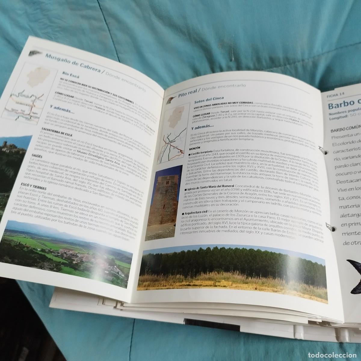 Libros de segunda mano: FAUNA DE ARAGON / 82 rutas turisticas / CONS 614GV - Foto 8