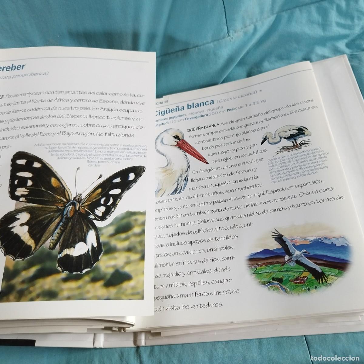 Libros de segunda mano: FAUNA DE ARAGON / 82 rutas turisticas / CONS 614GV - Foto 9