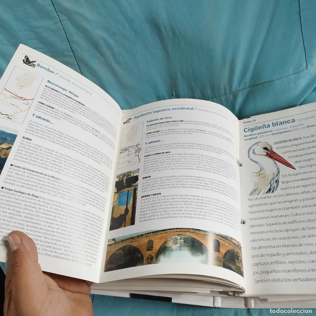 Libros de segunda mano: FAUNA DE ARAGON / 82 rutas turisticas / CONS 614GV - Foto 10