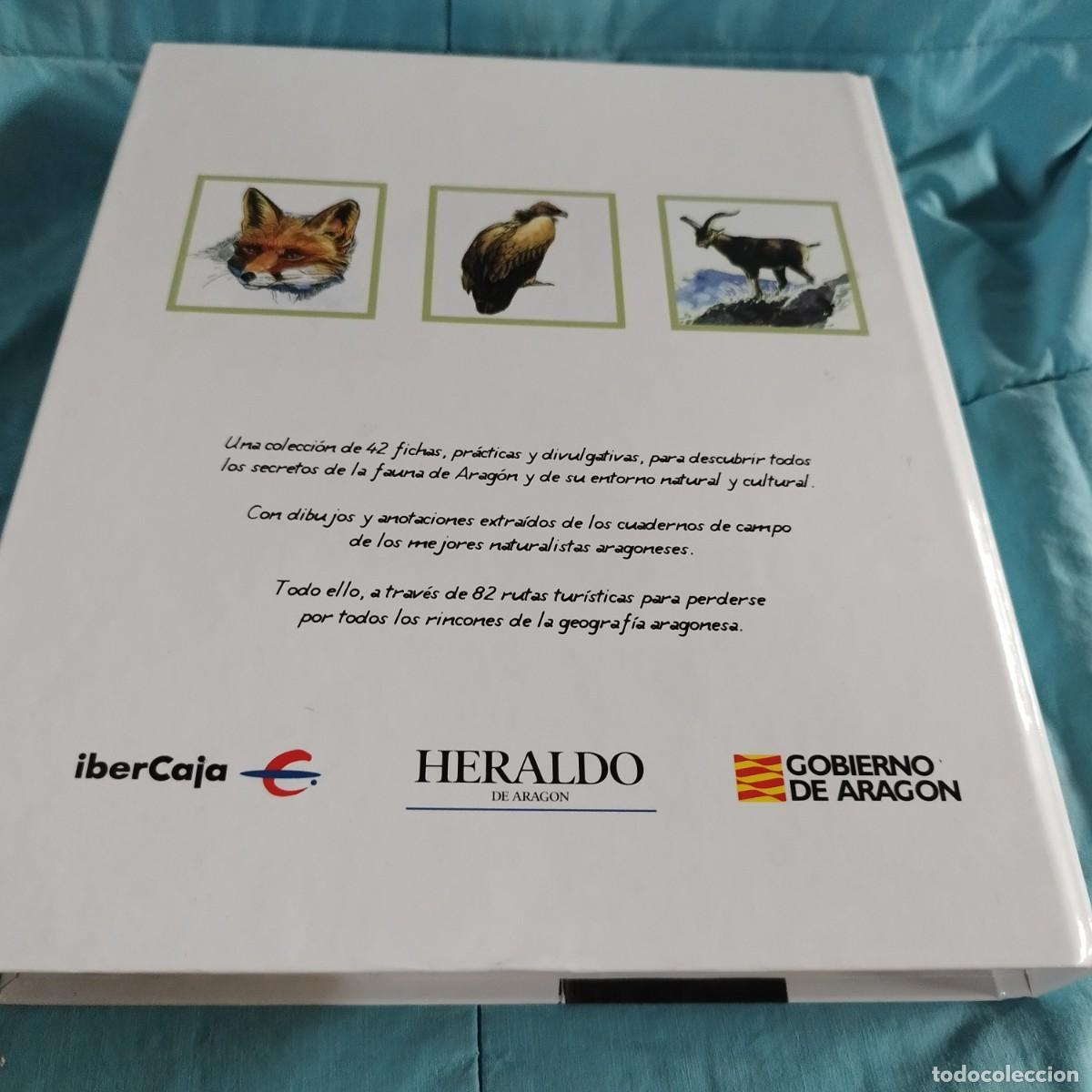 Libros de segunda mano: FAUNA DE ARAGON / 82 rutas turisticas / CONS 614GV - Foto 11
