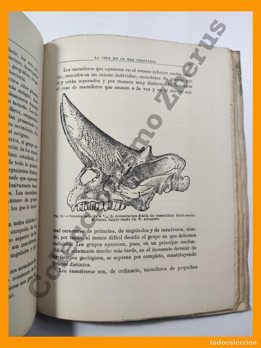 Libros de segunda mano: Historia de la Tierra - Juan Dantin Cereceda - Foto 3
