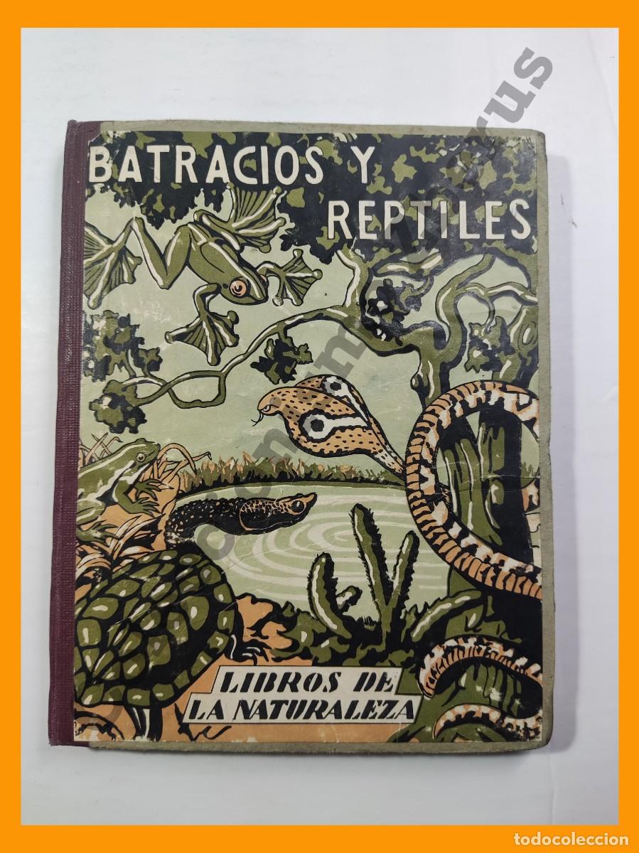 Libros de segunda mano: Los Batracios y los Reptiles - Josefa Marti de Tortajada - Foto 1