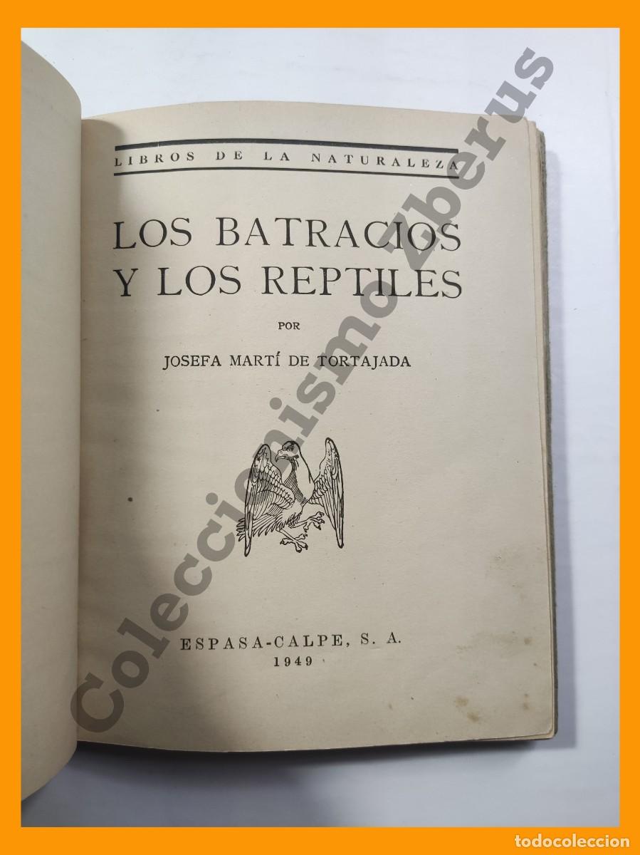 Libros de segunda mano: Los Batracios y los Reptiles - Josefa Marti de Tortajada - Foto 2