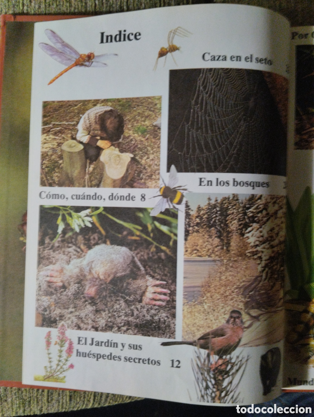 Libros de segunda mano: La naturaleza que nos rodea, Michael Chinery - Foto 2