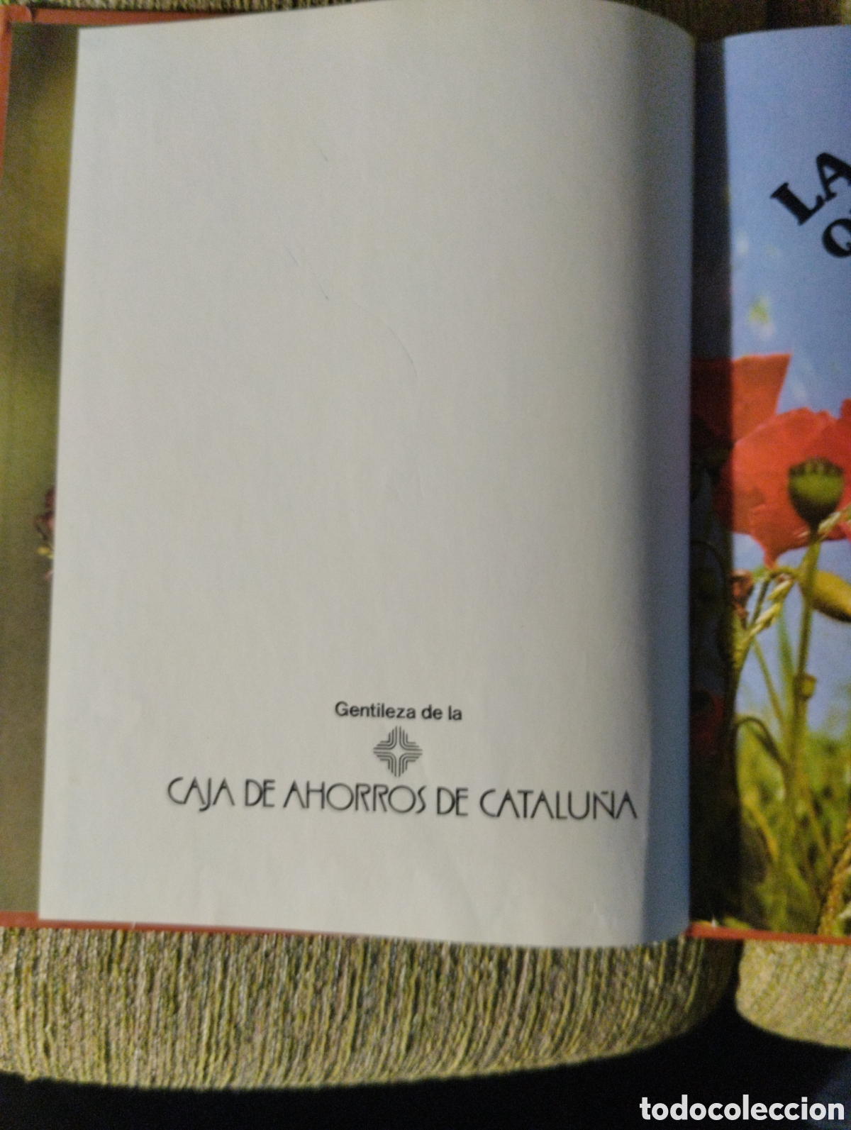 Libros de segunda mano: La naturaleza que nos rodea, Michael Chinery - Foto 5