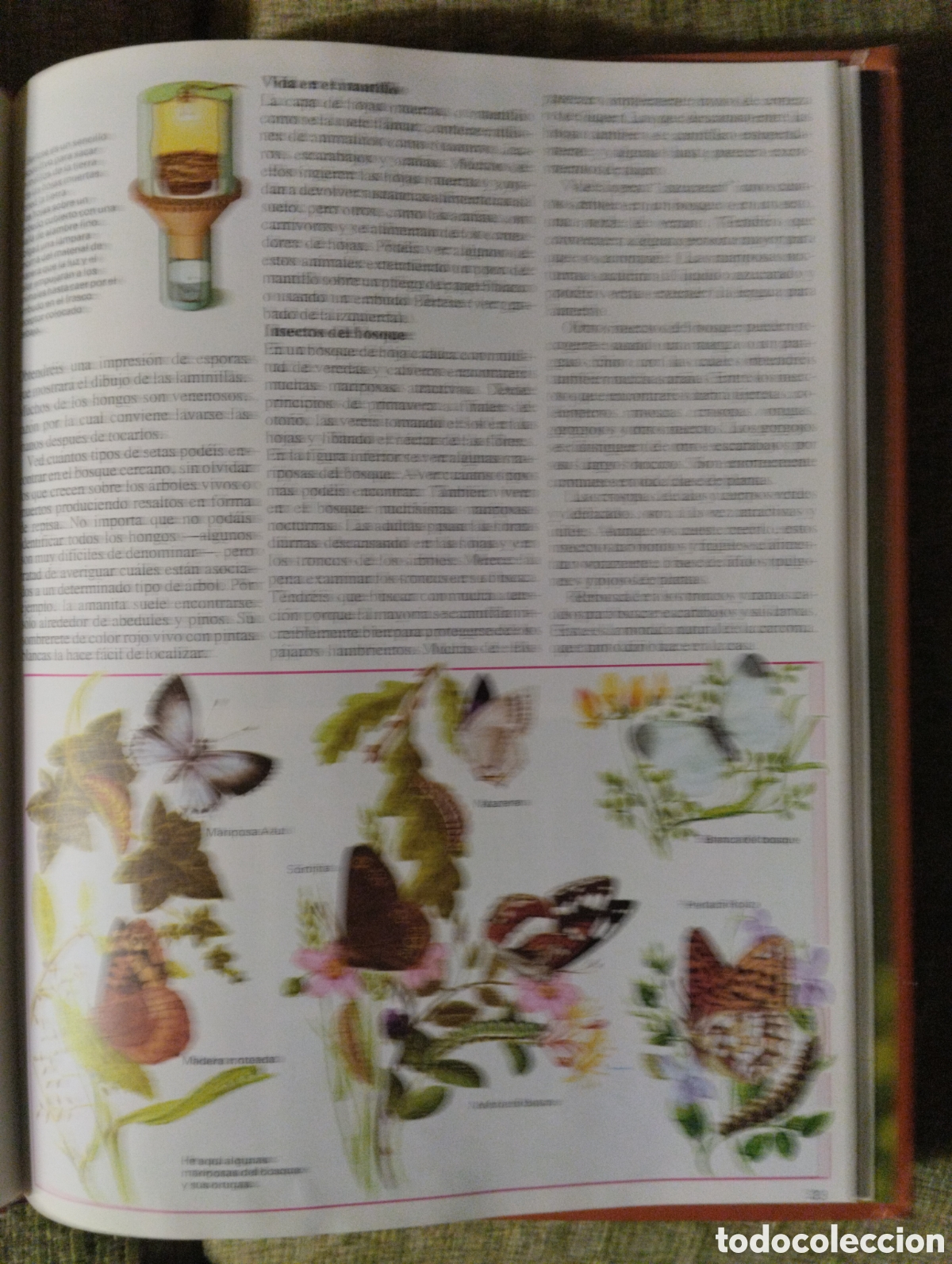 Libros de segunda mano: La naturaleza que nos rodea, Michael Chinery - Foto 7