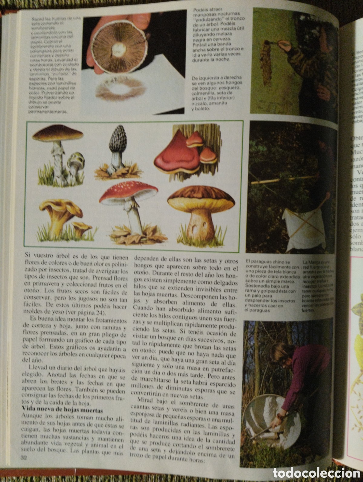 Libros de segunda mano: La naturaleza que nos rodea, Michael Chinery - Foto 8