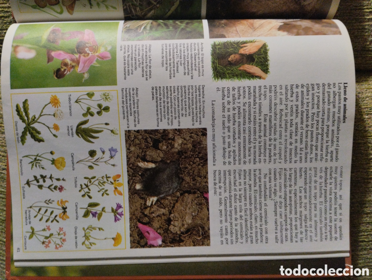 Libros de segunda mano: La naturaleza que nos rodea, Michael Chinery - Foto 9