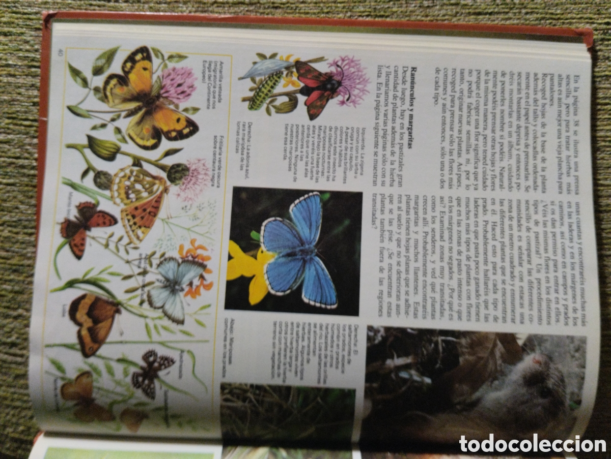 Libros de segunda mano: La naturaleza que nos rodea, Michael Chinery - Foto 10