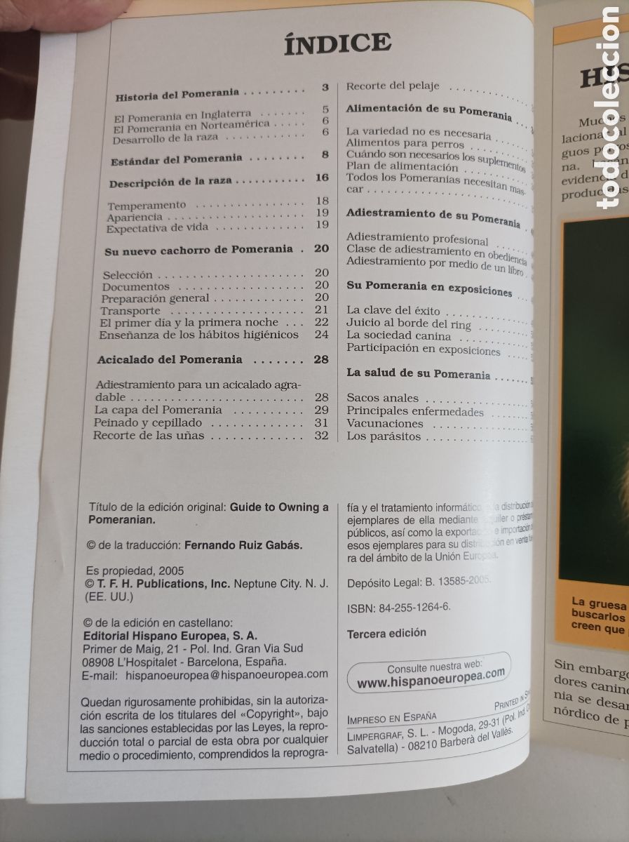 Libros de segunda mano: Manual pr&aacute;ctico del Pomerania / Vikki Elman. Editorial Hispano Europea - Foto 3