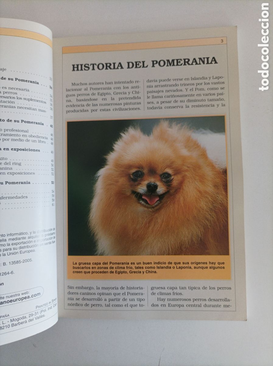 Libros de segunda mano: Manual pr&aacute;ctico del Pomerania / Vikki Elman. Editorial Hispano Europea - Foto 4
