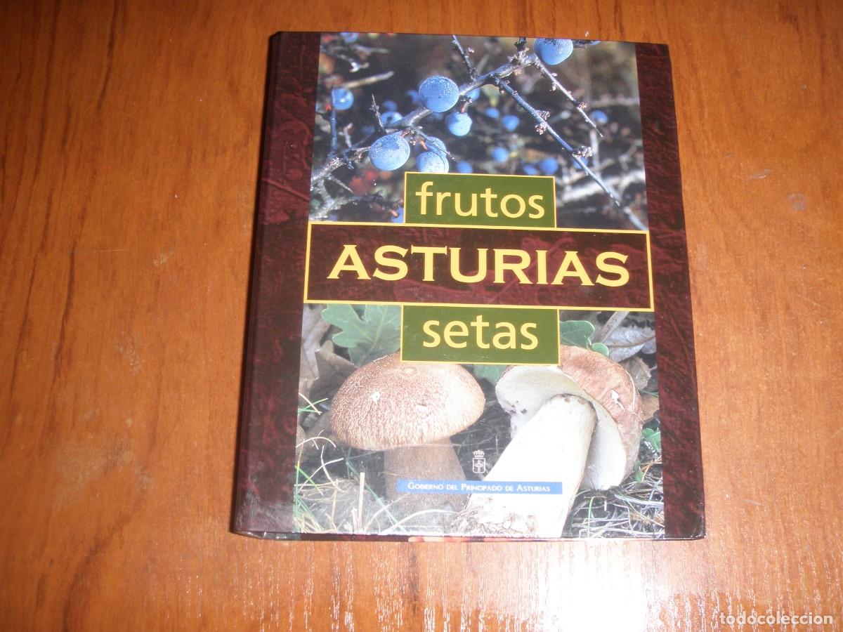 Libros de segunda mano: FICHERO FRUTOS Y SETAS ASTURIAS - Foto 1