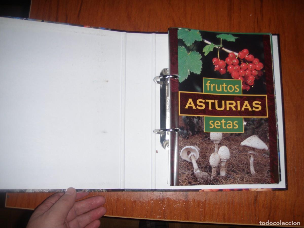 Libros de segunda mano: FICHERO FRUTOS Y SETAS ASTURIAS - Foto 2