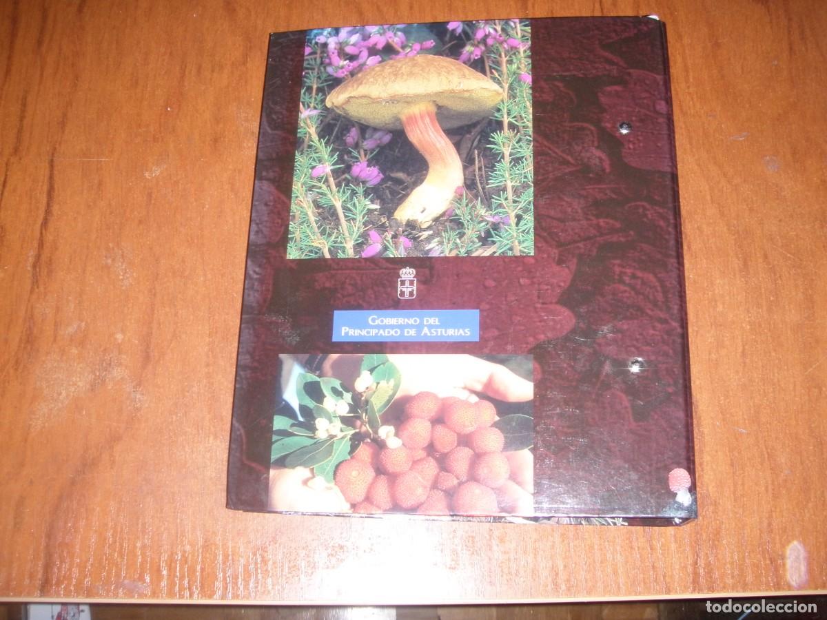 Libros de segunda mano: FICHERO FRUTOS Y SETAS ASTURIAS - Foto 7