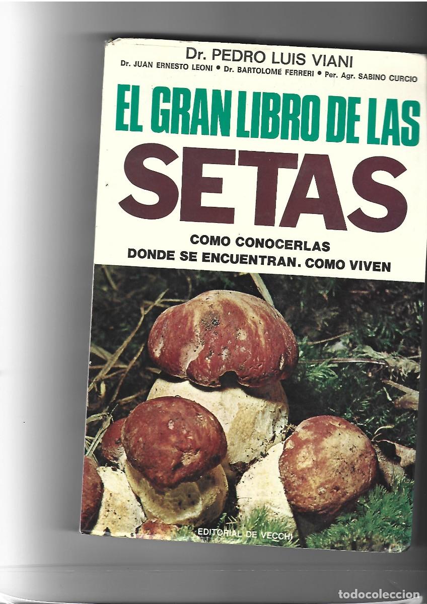 Libri di seconda mano: EL GRAN LIBRO DE LAS SETAS,COMO CONOCERLAS, DONDE SE ENCUENTRAN, COMO VIVEN