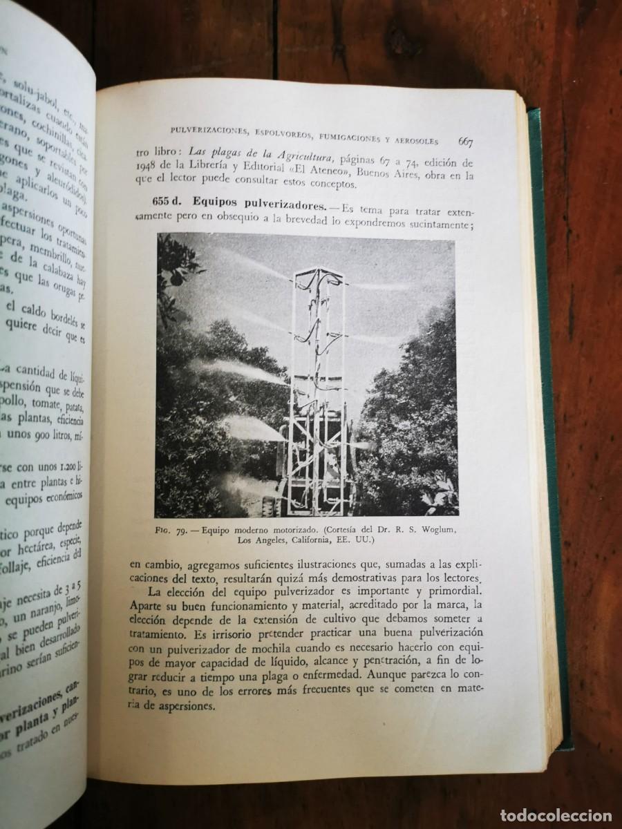 Libros de segunda mano: CHIESA MOLINARI, O. Terap&eacute;utica vegetal [ 2 vol.] - Foto 3