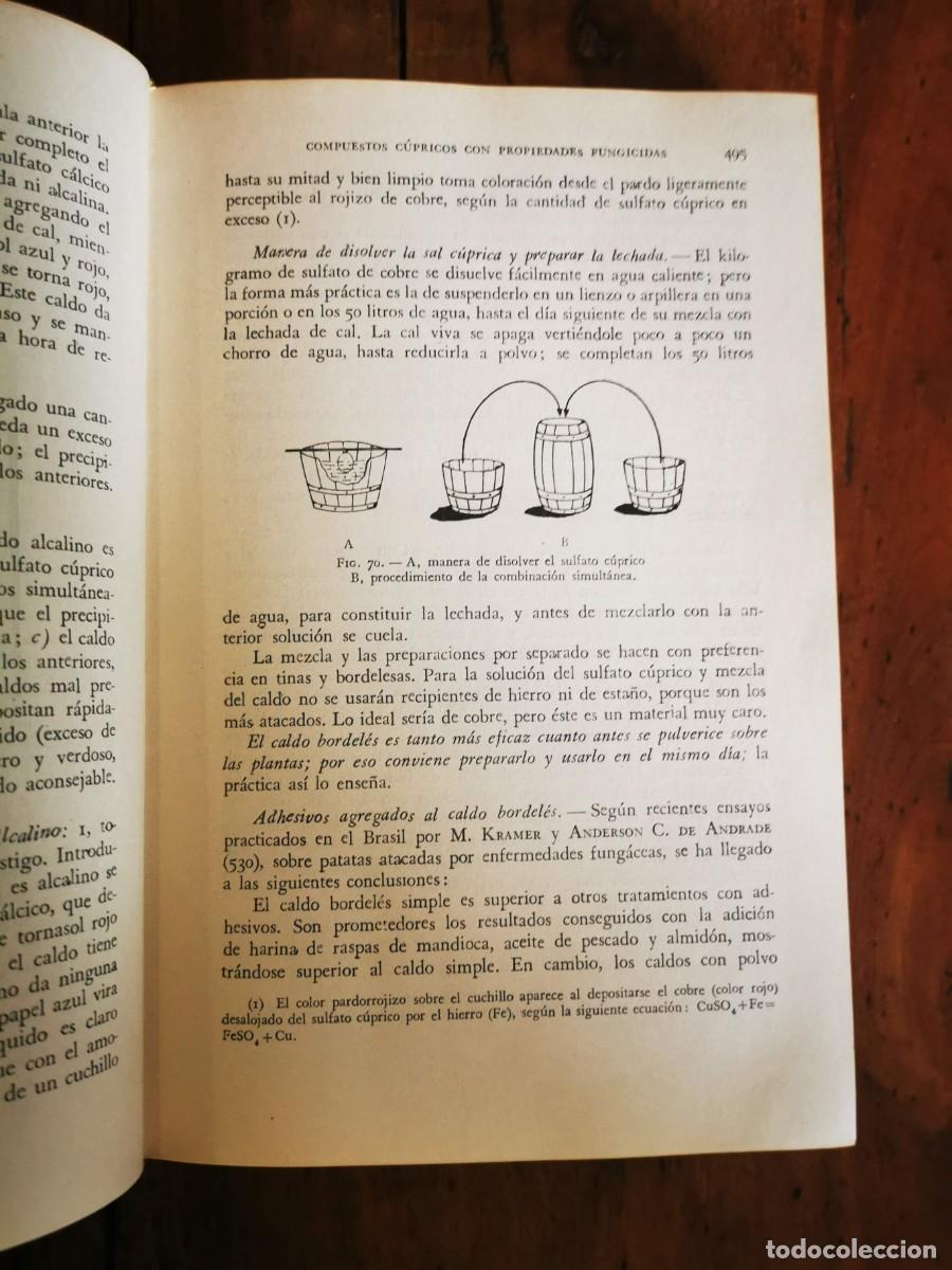 Libros de segunda mano: CHIESA MOLINARI, O. Terap&eacute;utica vegetal [ 2 vol.] - Foto 4