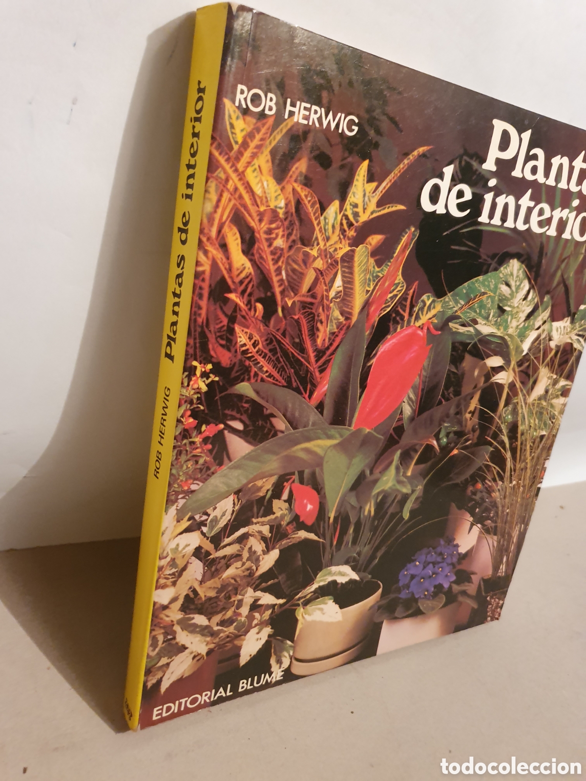 Libros de segunda mano: PLANTAS DE INTERIOR. ROB HERWING. BLUME 1979. - Foto 2