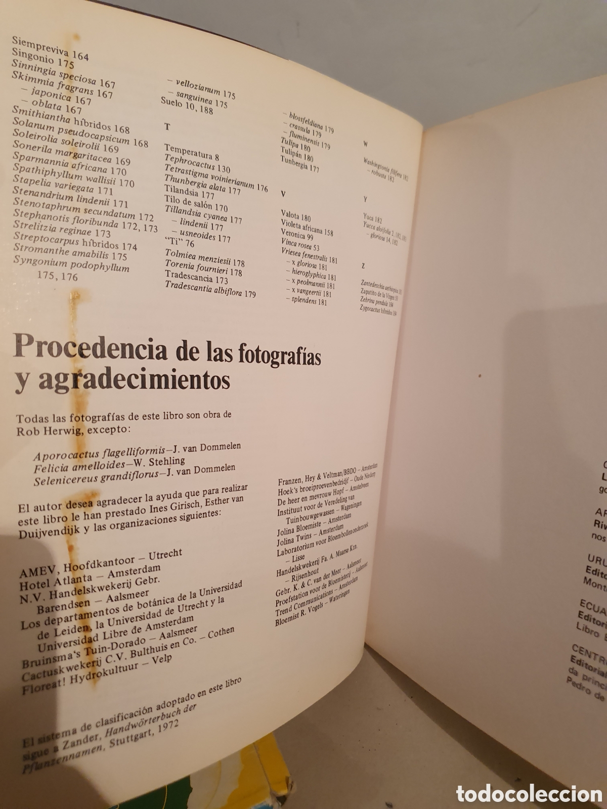Libros de segunda mano: PLANTAS DE INTERIOR. ROB HERWING. BLUME 1979. - Foto 3