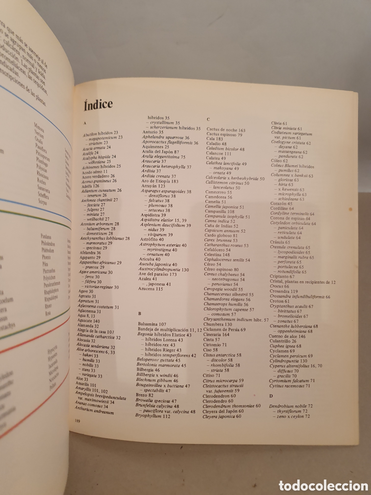 Libros de segunda mano: PLANTAS DE INTERIOR. ROB HERWING. BLUME 1979. - Foto 6