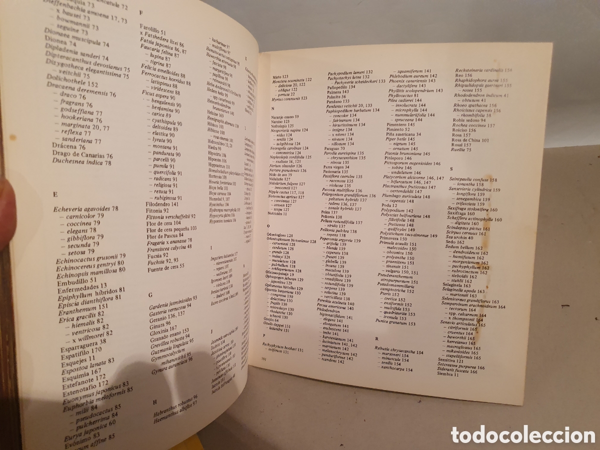 Libros de segunda mano: PLANTAS DE INTERIOR. ROB HERWING. BLUME 1979. - Foto 7