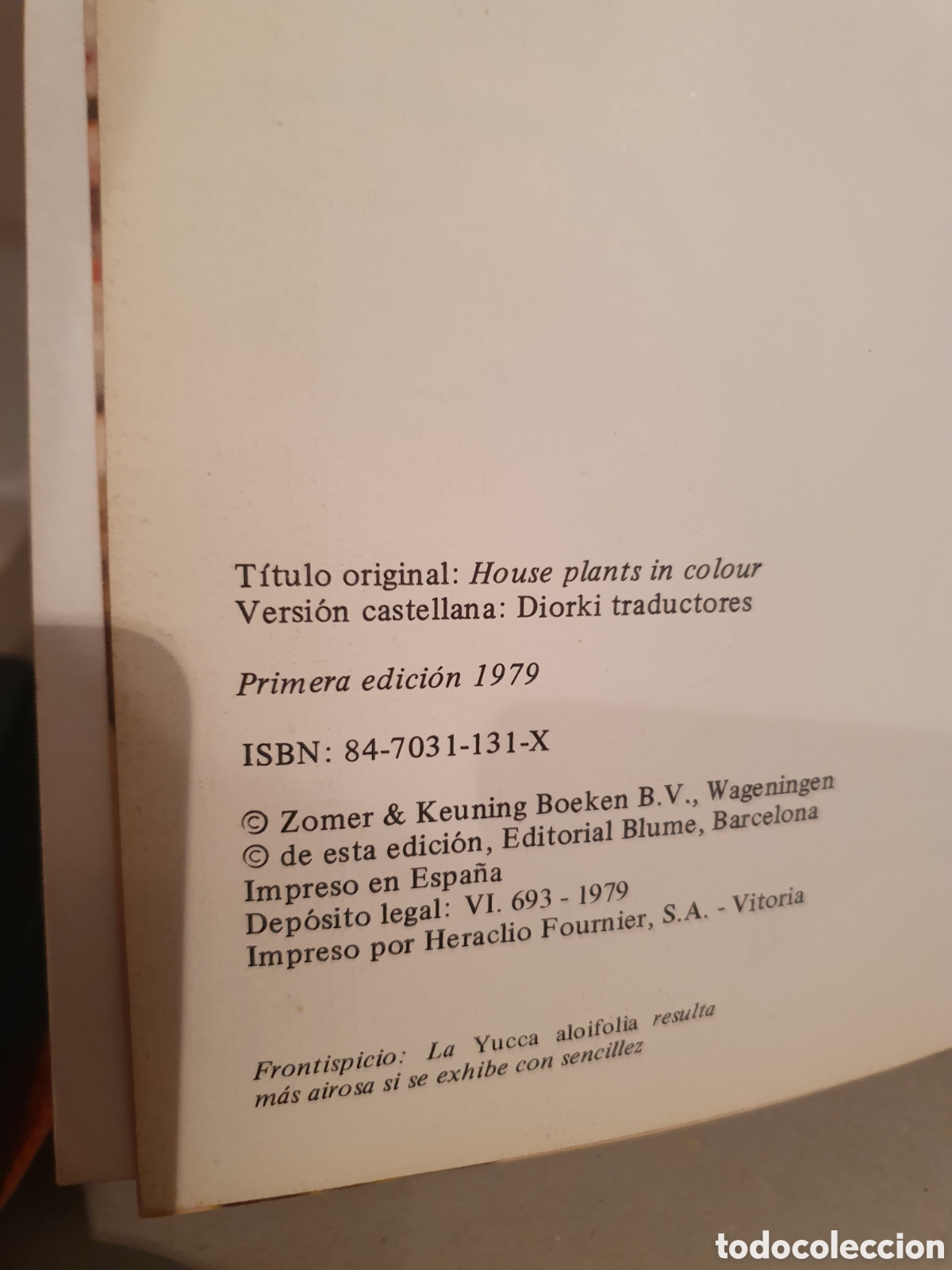 Libros de segunda mano: PLANTAS DE INTERIOR. ROB HERWING. BLUME 1979. - Foto 9
