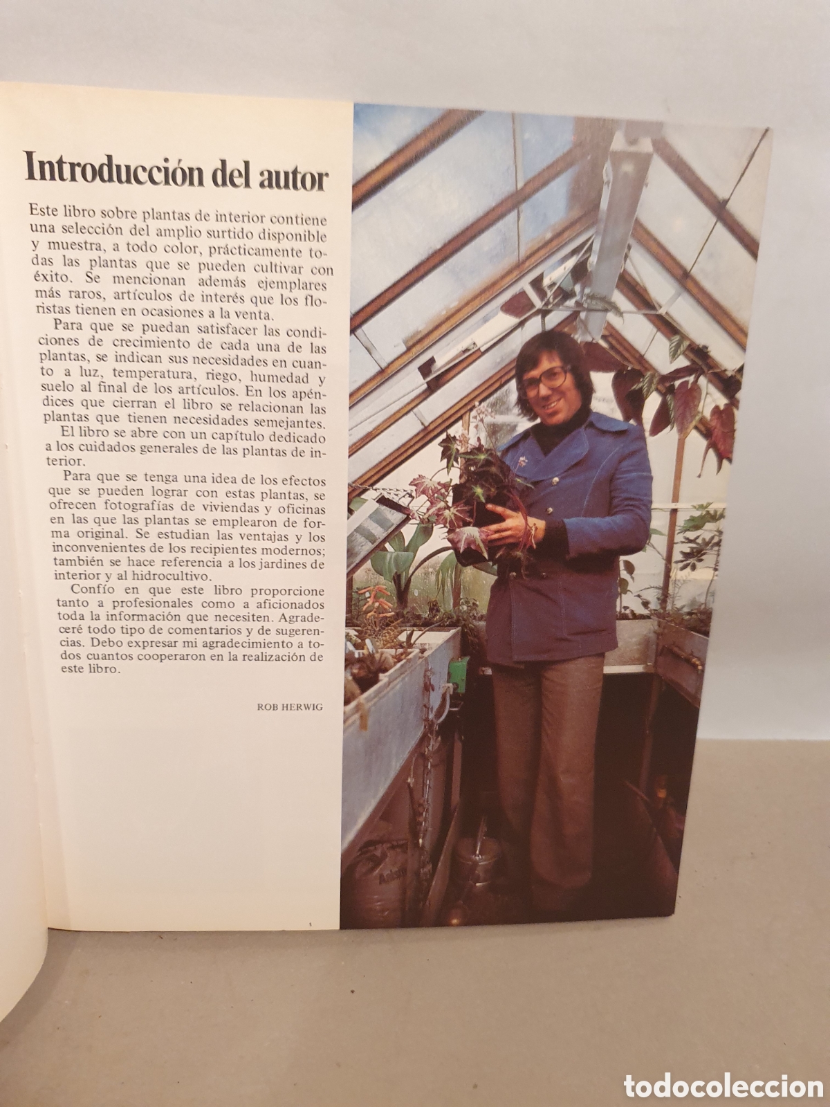 Libros de segunda mano: PLANTAS DE INTERIOR. ROB HERWING. BLUME 1979. - Foto 10