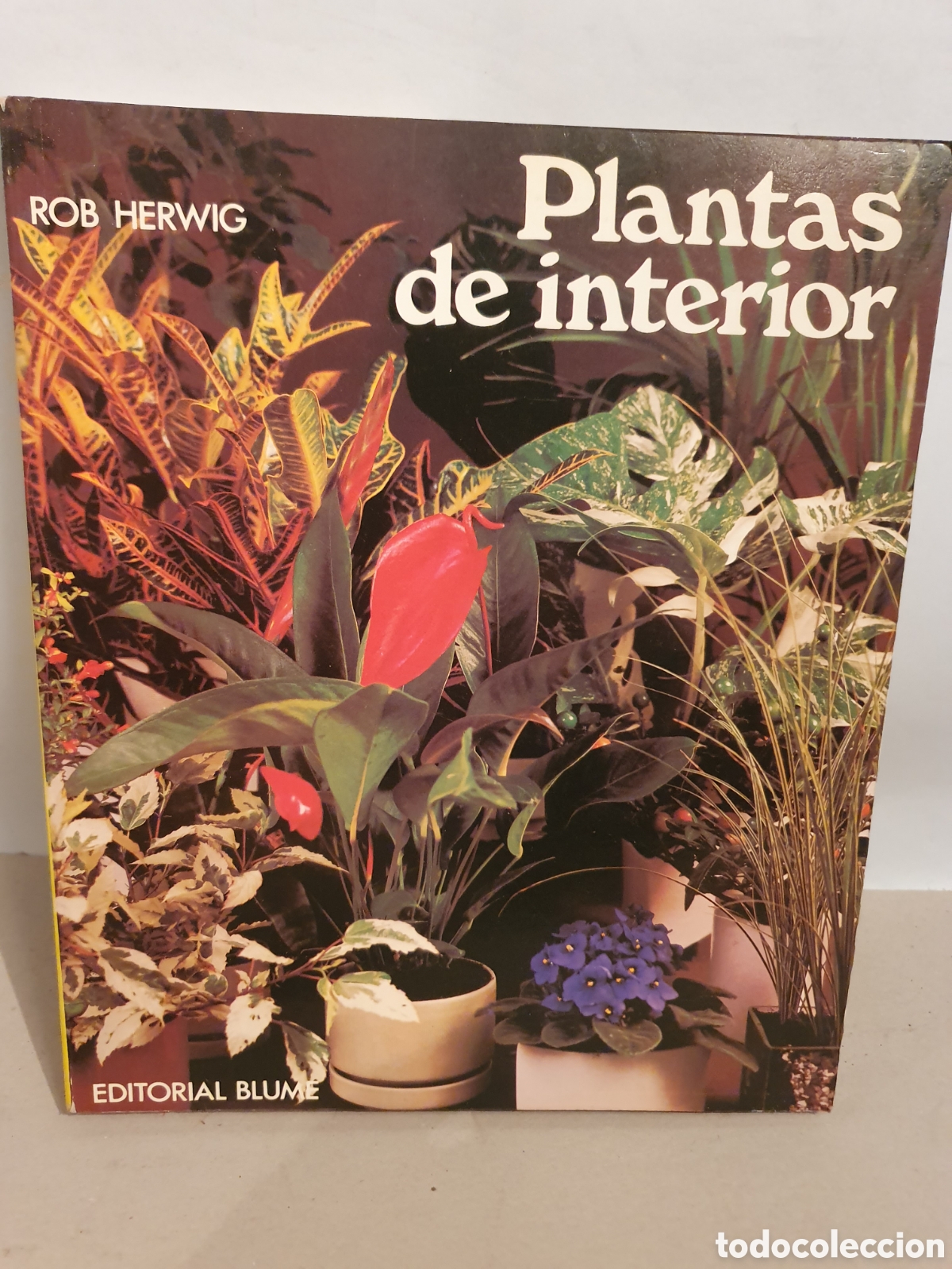 Libros de segunda mano: PLANTAS DE INTERIOR. ROB HERWING. BLUME 1979. - Foto 1