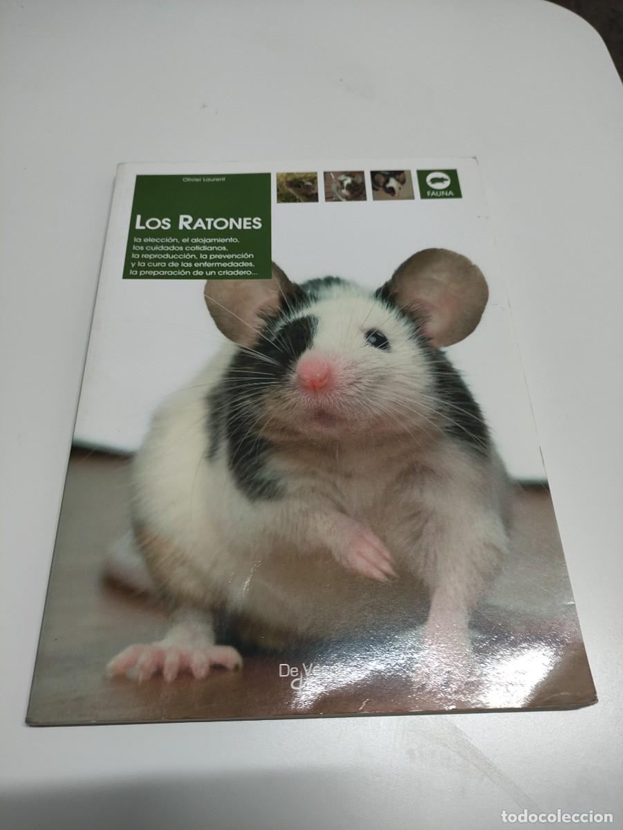 Libros de segunda mano: Los ratones. Olivier Laurent. Fauna. - Foto 1