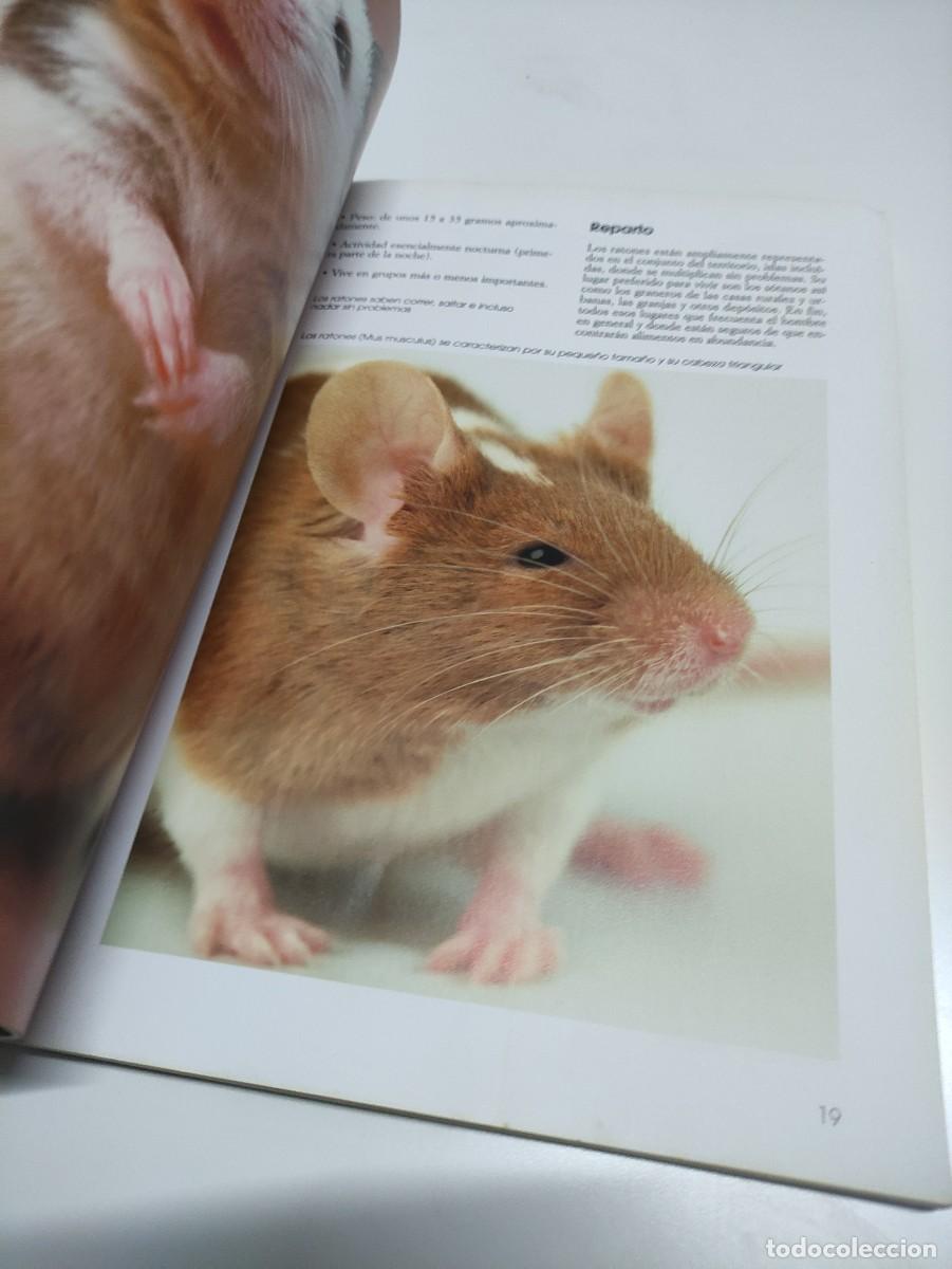 Libros de segunda mano: Los ratones. Olivier Laurent. Fauna. - Foto 2