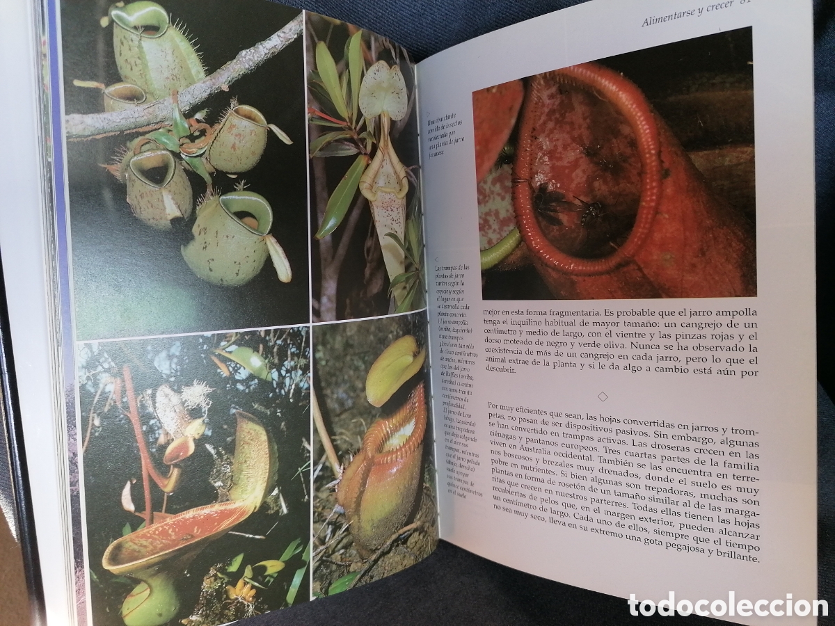 Libros de segunda mano: La vida privada de las plantas - Foto 2
