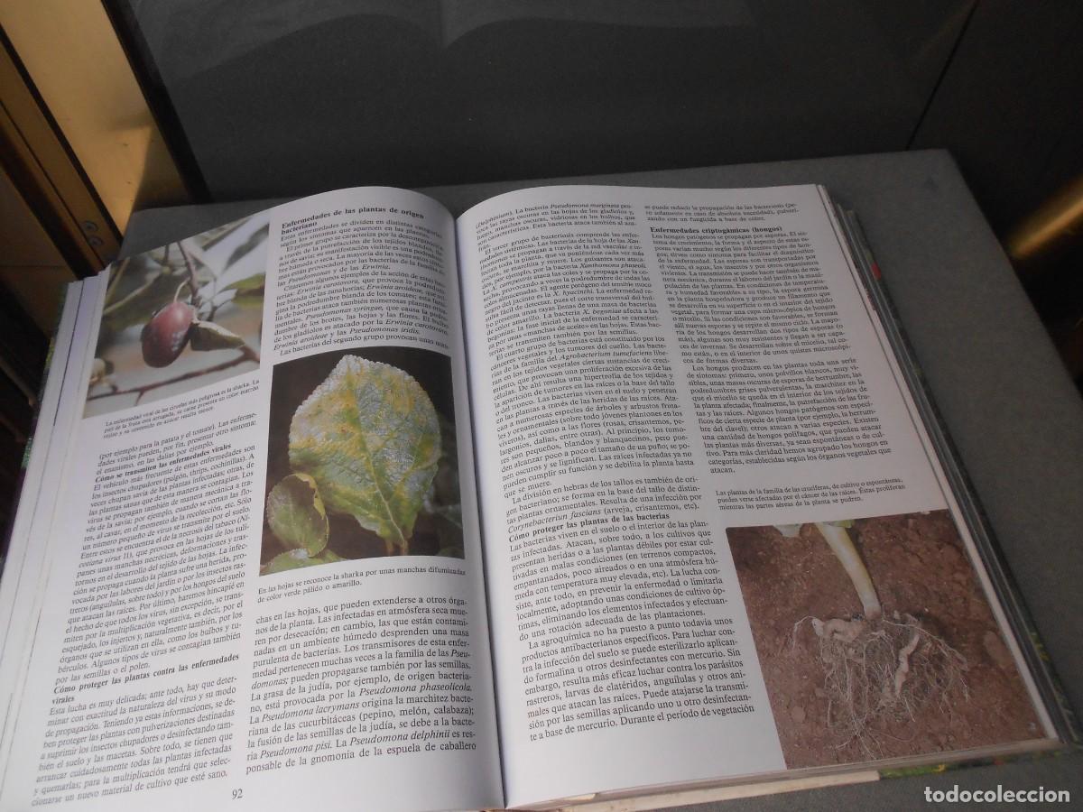 Libros de segunda mano: ENCICLOPEDIA DE LA JARDINERIA - Foto 6