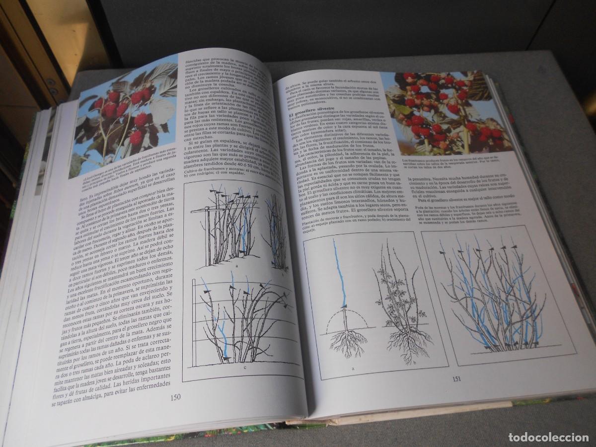 Libros de segunda mano: ENCICLOPEDIA DE LA JARDINERIA - Foto 7