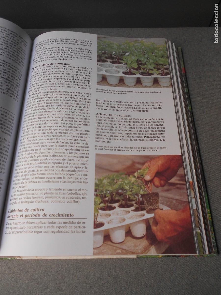 Libros de segunda mano: ENCICLOPEDIA DE LA JARDINERIA - Foto 8