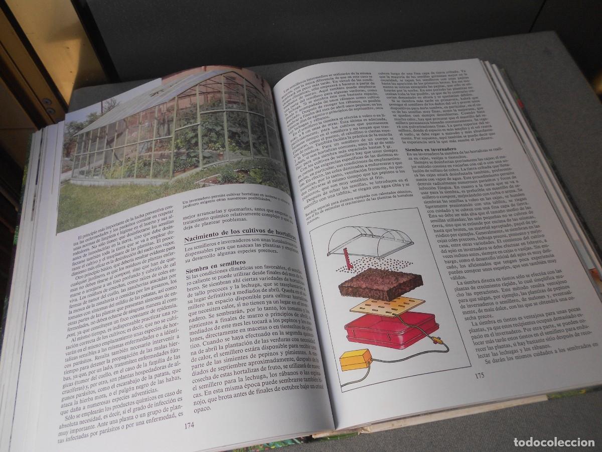 Libros de segunda mano: ENCICLOPEDIA DE LA JARDINERIA - Foto 9