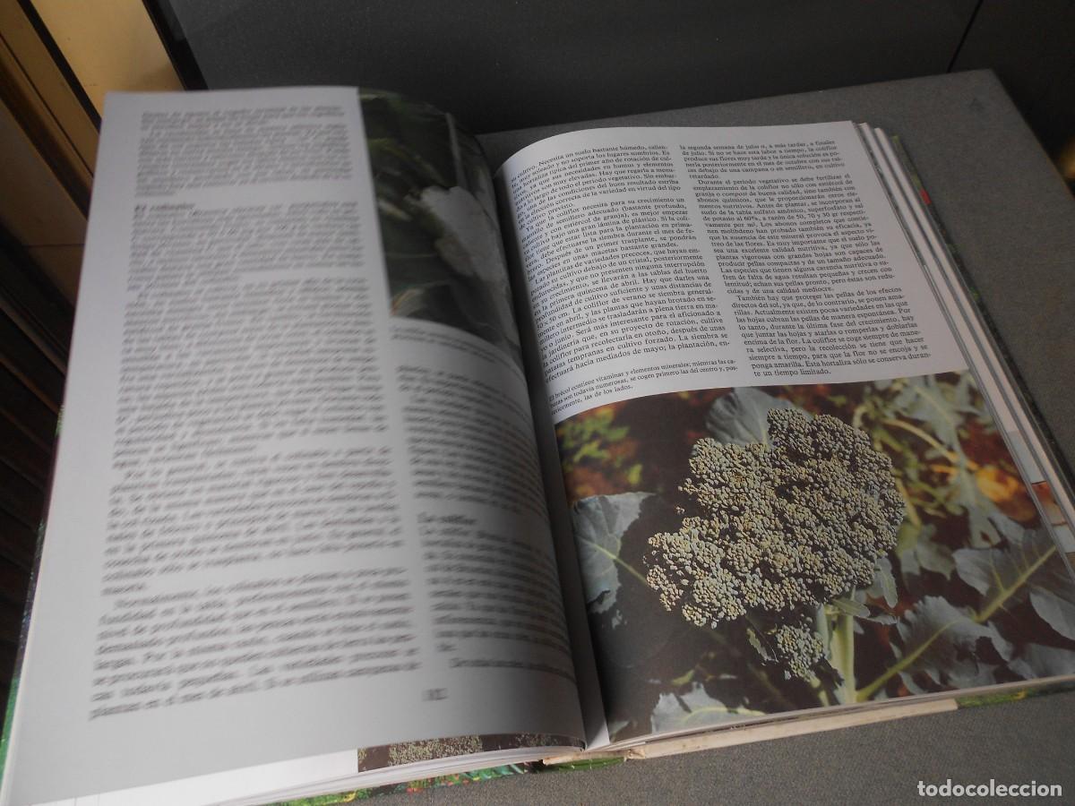 Libros de segunda mano: ENCICLOPEDIA DE LA JARDINERIA - Foto 10