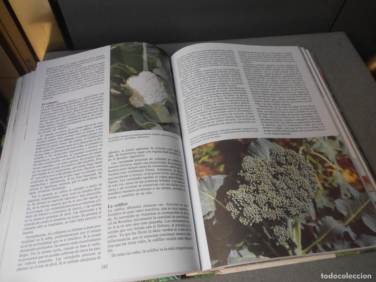 Libros de segunda mano: ENCICLOPEDIA DE LA JARDINERIA - Foto 11