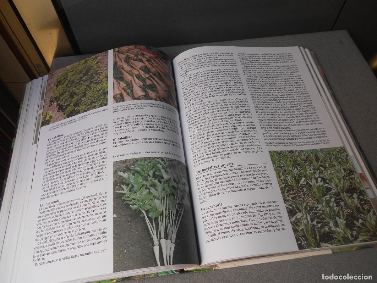 Libros de segunda mano: ENCICLOPEDIA DE LA JARDINERIA - Foto 12