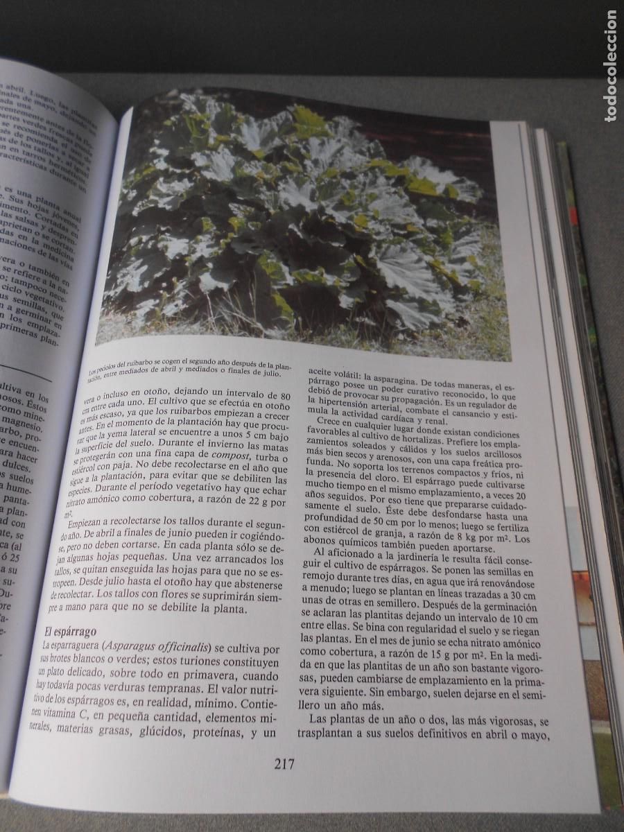 Libros de segunda mano: ENCICLOPEDIA DE LA JARDINERIA - Foto 13