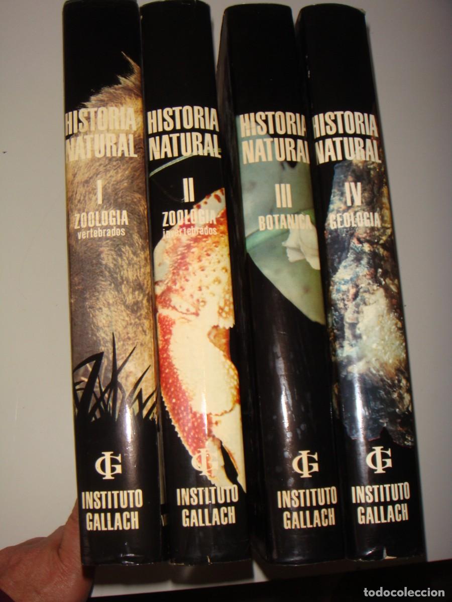 Libros de segunda mano: HISTORIA NATURAL 4 TOMOS INSTITUTO GALLACH GRAN FORMATO - Foto 1