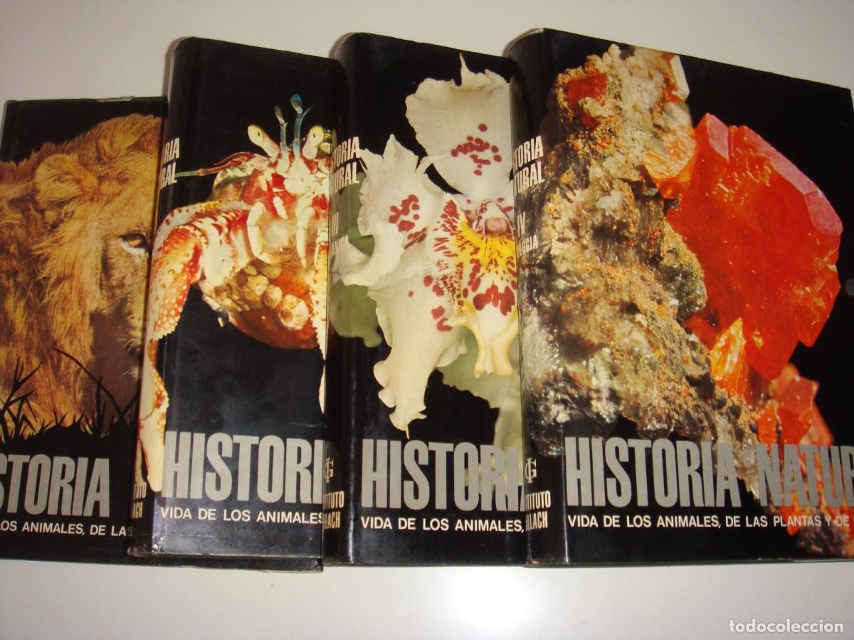 Libros de segunda mano: HISTORIA NATURAL 4 TOMOS INSTITUTO GALLACH GRAN FORMATO - Foto 2