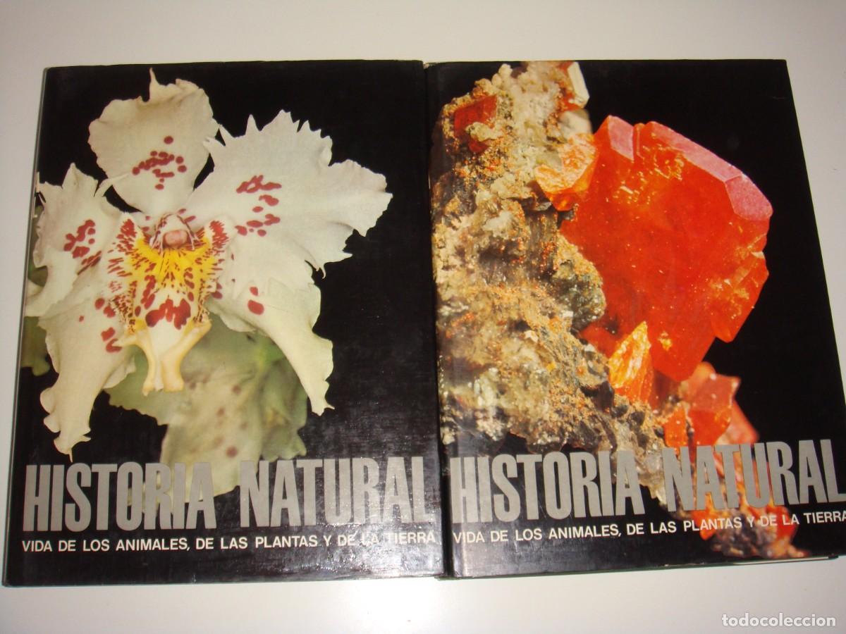 Libros de segunda mano: HISTORIA NATURAL 4 TOMOS INSTITUTO GALLACH GRAN FORMATO - Foto 3