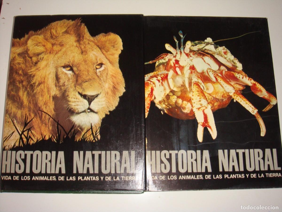 Libros de segunda mano: HISTORIA NATURAL 4 TOMOS INSTITUTO GALLACH GRAN FORMATO - Foto 4