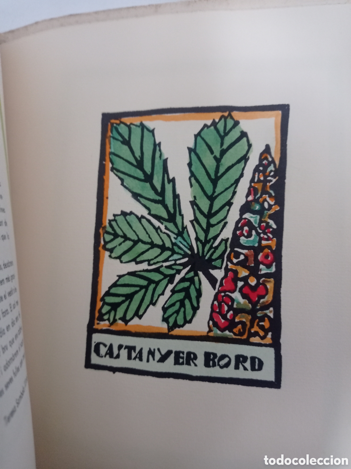 Libros de segunda mano: LLIBRE DE LES FLORS - FACSIMIL 1982 - Foto 4