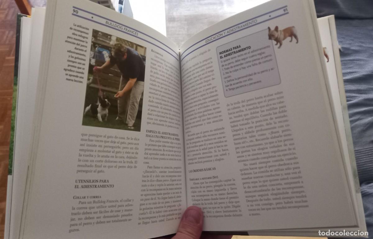 Libros de segunda mano: BULLDOG FRANC&Eacute;S - MURIEL P. LEE - Foto 3