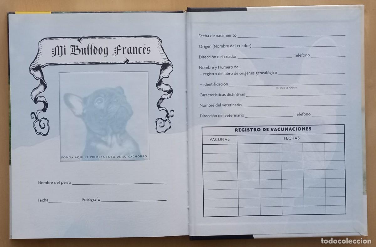 Libros de segunda mano: BULLDOG FRANC&Eacute;S - MURIEL P. LEE - Foto 5