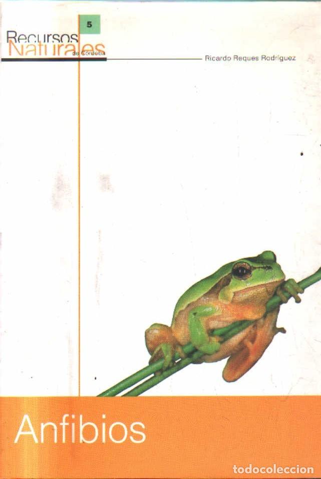 Libros de segunda mano: ANFIBIOS. REQUES RODRIGUEZ, RICARDO. A-LCORD-1059 - Foto 1