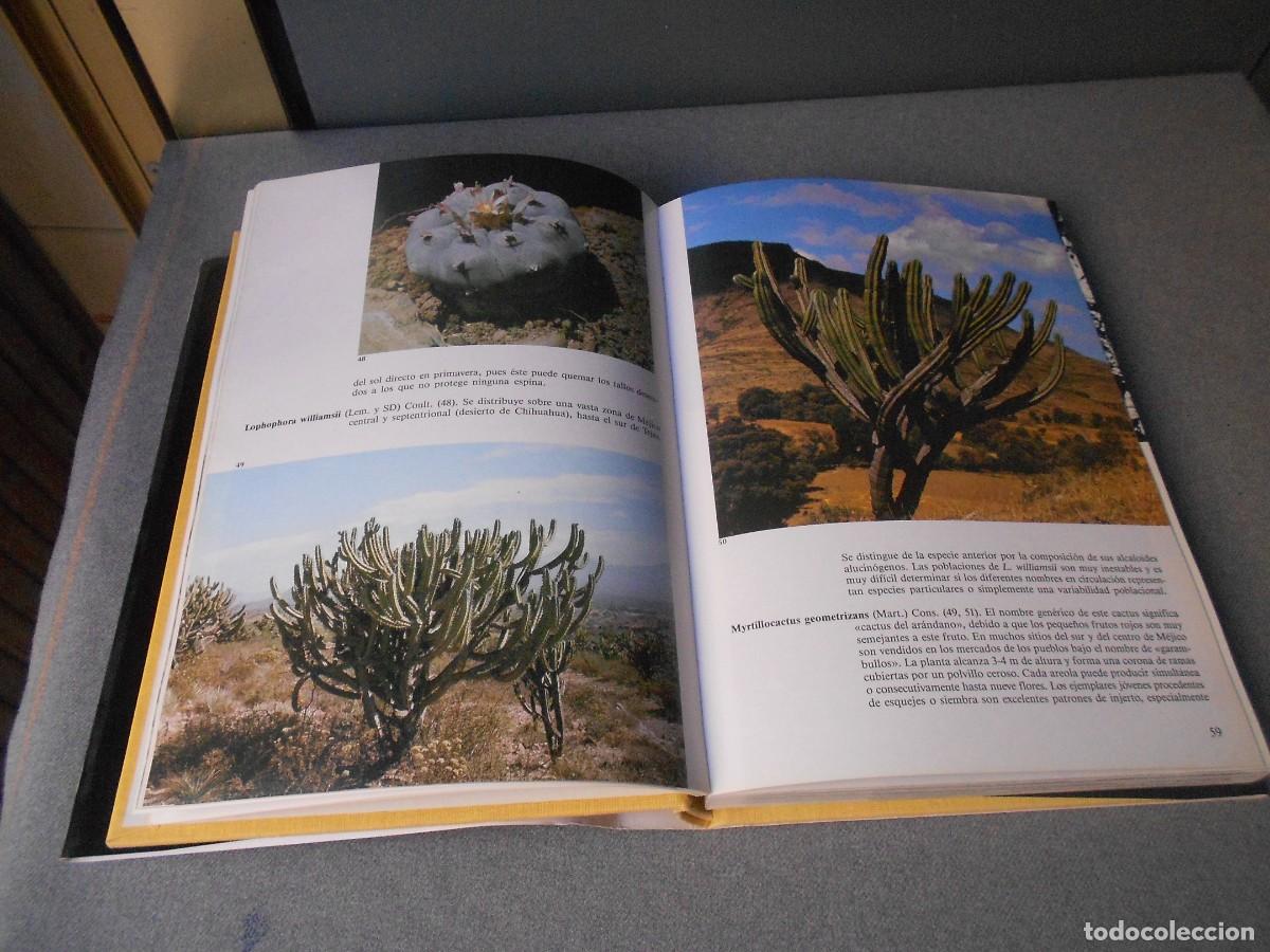 Libros de segunda mano: PEQUE&Ntilde;A ENCICLOPEDIA DE CACTUS - Foto 5