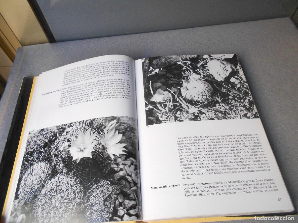 Libros de segunda mano: PEQUE&Ntilde;A ENCICLOPEDIA DE CACTUS - Foto 6